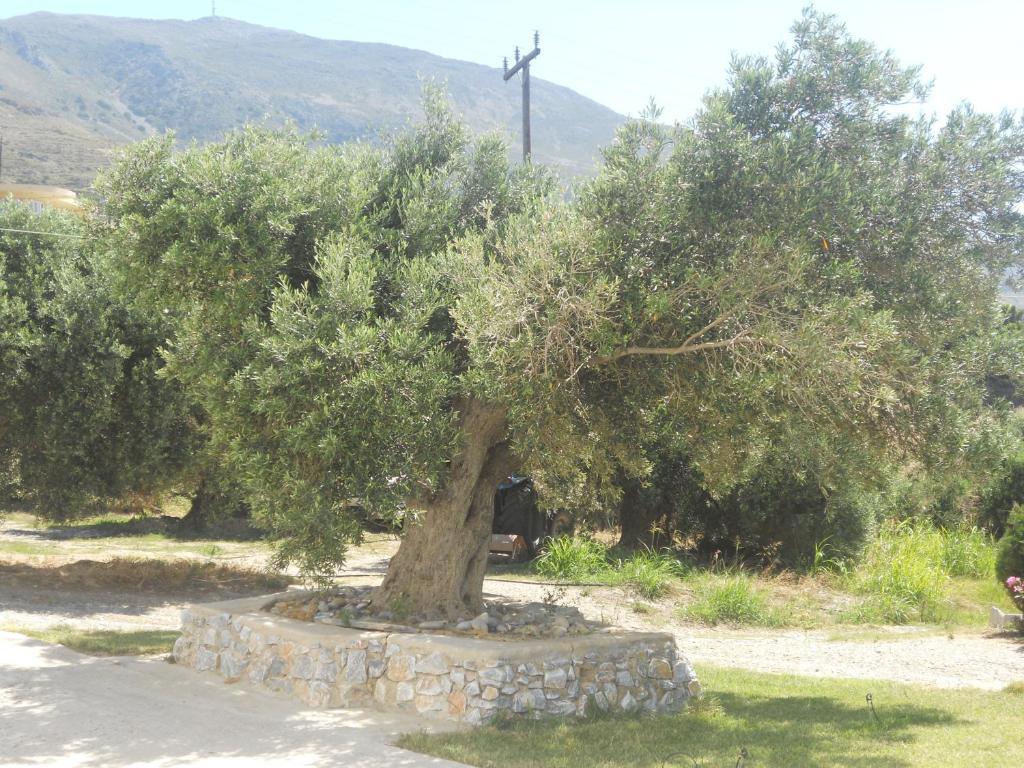Galini Apartments Plakias Exterior photo